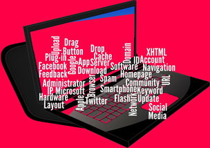 开云网页版-CBA开展球员社交媒体管理课程提高职业素养，运动员社交媒体